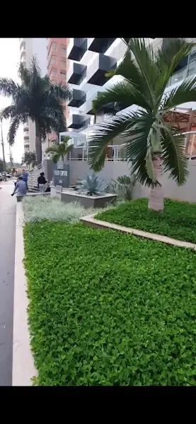 ArejarPlantas, Paisagismo, Irrigação, Jardinagem, Jardineiro, Manutenção de Jardim, em, São José do Rio Preto - Anunciante do Grude.digital