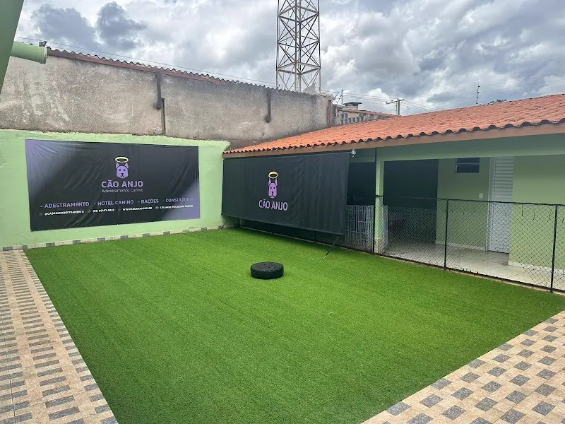 Cão Anjo - Adestramento & Hospedagem - Brasília DF - Anunciante do Grude.digital