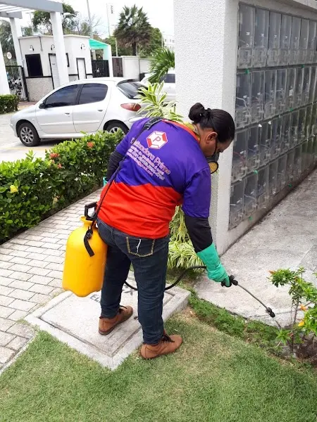 DEDETIZADORA PRIME LTDA - Anunciante do Grude.digital