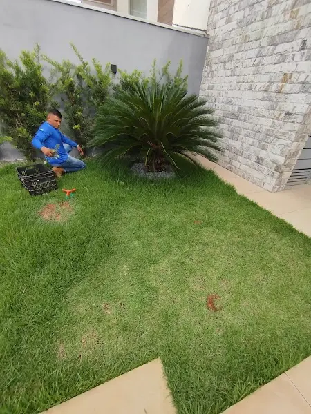 Rinaldi jardinagem e serviços gerais - Anunciante do Grude.digital