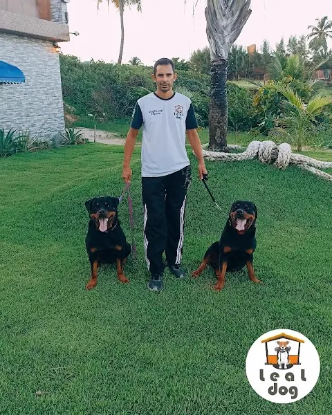 Leal Dog Adestramento - Anunciante do Grude.digital