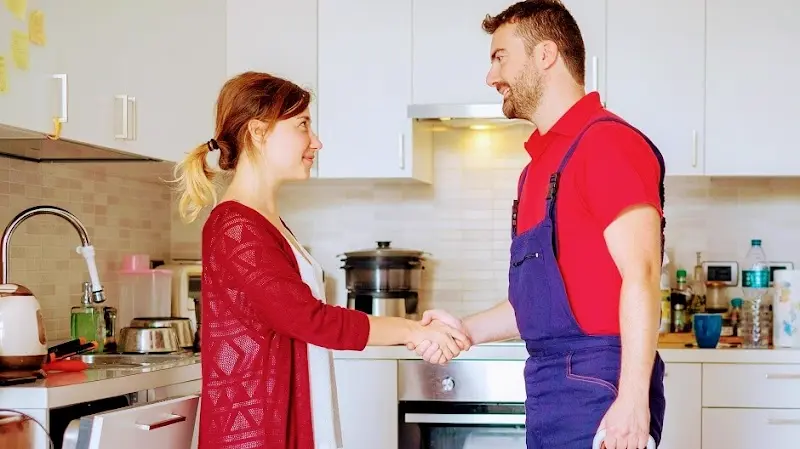 Nipon Dedetizadora e Desentupidora - Anunciante do Grude.digital