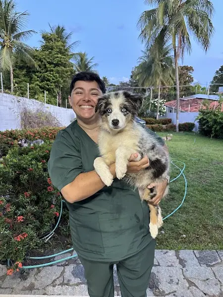 Amazing Dog - Anunciante do Grude.digital