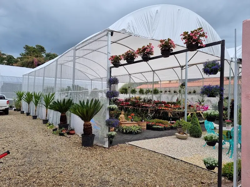 FLORICULTURA CIA DO VERDE / PAISAGISMO - Anunciante do Grude.digital