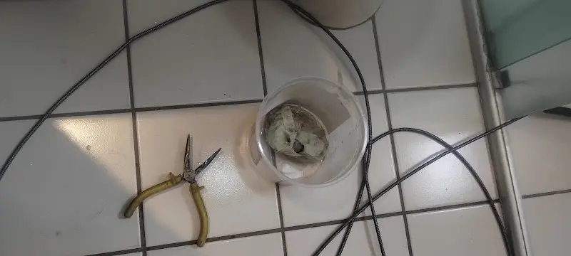 Machado - Marido de Aluguel - Anunciante do Grude.digital