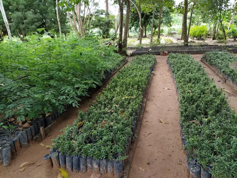 Reflorestar - Anunciante do Grude.digital