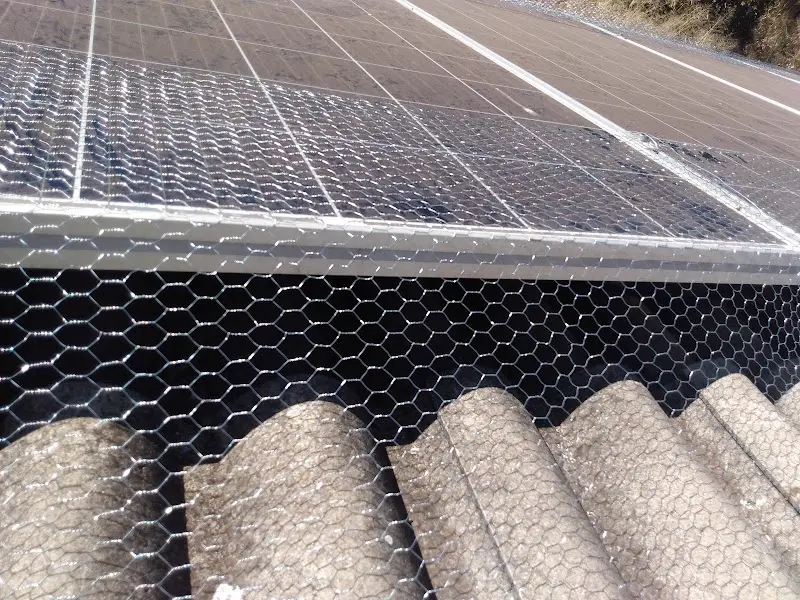 Dourados Dedetização - Anunciante do Grude.digital