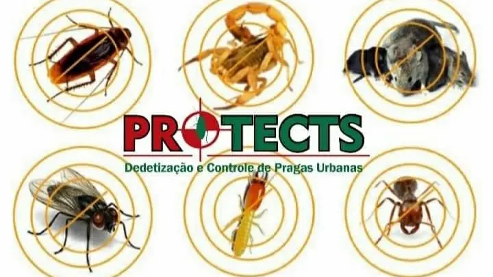 Protects Dedetização e Controle de Pragas Urbanas - Anunciante do Grude.digital