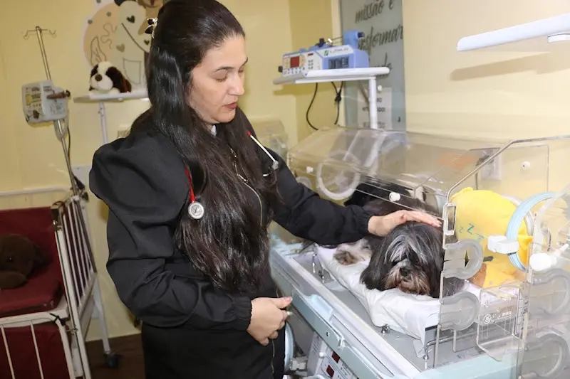 Clinica Veterinaria Vet Helou - Anunciante do Grude.digital