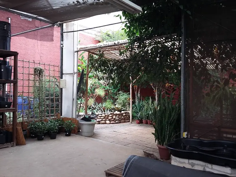 Formosa Garden - Comércio de Plantas, Vasos e Paisagismo - Anunciante do Grude.digital