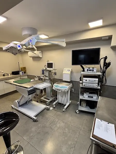 Amparo Clínica Veterinária 24 horas Brasília - Anunciante do Grude.digital