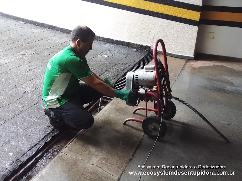 Desentupidora e Dedetizadora Ecosystem - Anunciante do Grude.digital