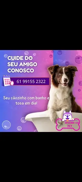 Oficina do Pet - Anunciante do Grude.digital